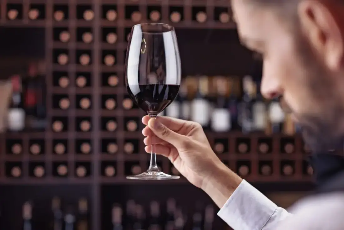 Bordeaux city and introductory wine tasting